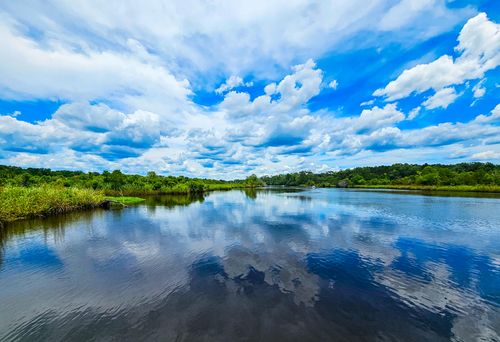 192 Lazy Bee Lane, Green Pond, SC, 29446 | Card Image