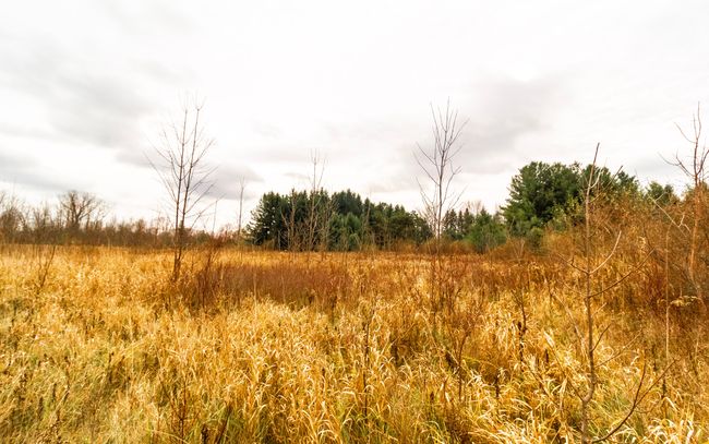 6152 Old State Rd, Home with 0 bedrooms, 1 bathrooms and null parking in North Branch MI | Image 22