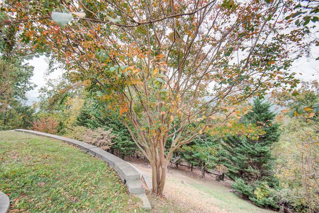 263 Tanglewood Trl, House other with 4 bedrooms, 3 bathrooms and null parking in Trenton GA | Image 29