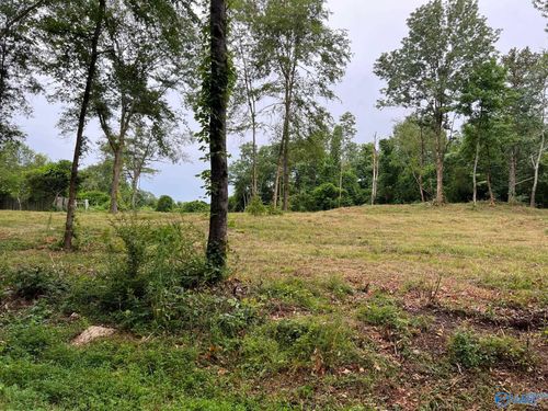 Lot 4 Cherrywood Dr, Guntersville, AL, 35976 | Card Image