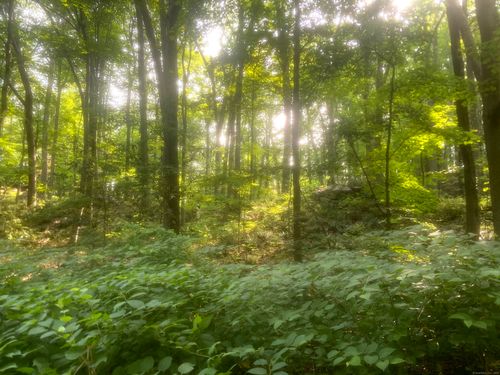 6716 Main St, Trumbull, CT, 06611-1384 | Card Image