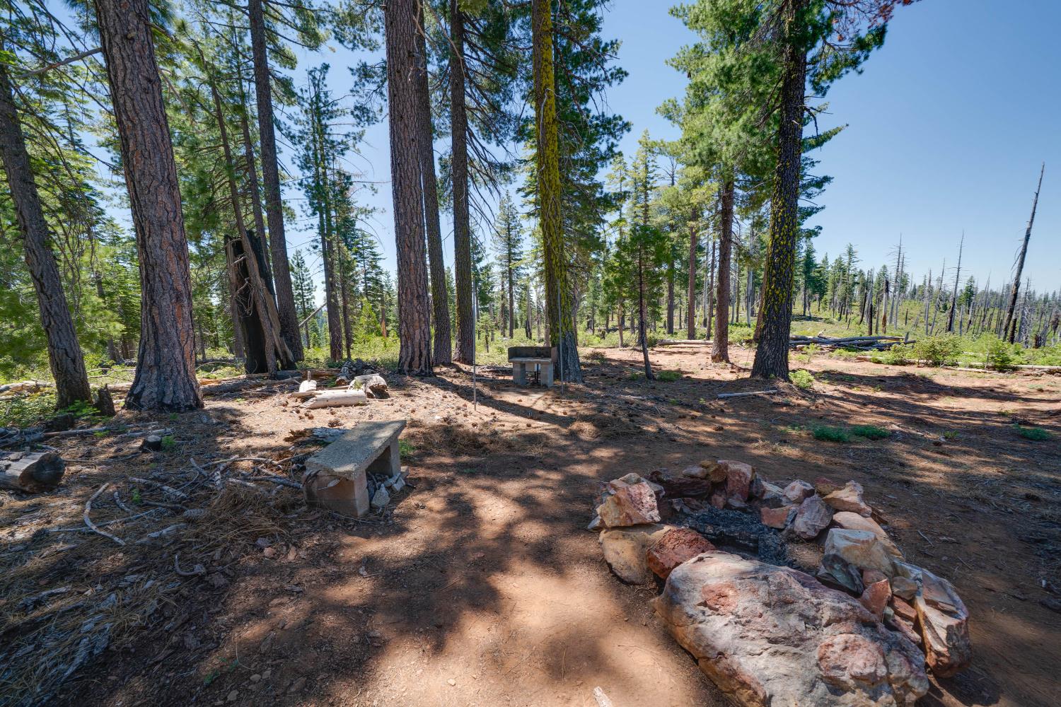 Land in Emigrant Gap 3