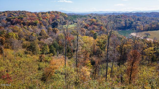 1300 Fish Hatchery Rd, House other with 3 bedrooms, 2 bathrooms and null parking in Mohawk TN | Image 107