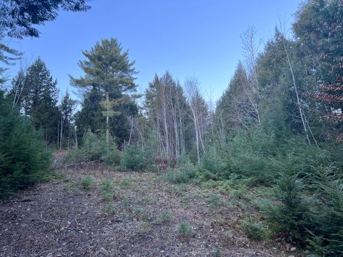 5 Bog Brook Loop, West Paris, ME, 04289 | Card Image