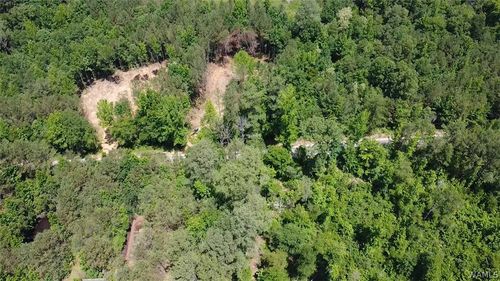000 Lot 4 Bays Lake Rd, Bankston, AL, 35542 | Card Image
