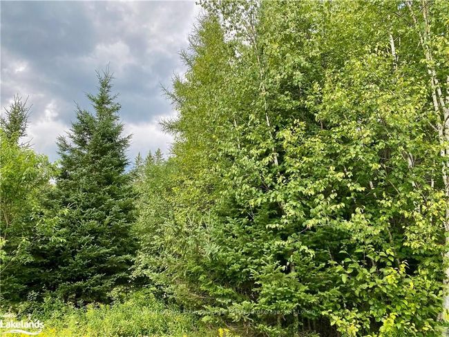 0 Concession 10 And 11 Road, Home with 0 bedrooms, 0 bathrooms and null parking in Parry Sound, Unorganized, Centre Part ON | Image 6