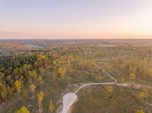 Lot 7 Johnson Dr, Livingston, TX, 77351 | Card Image