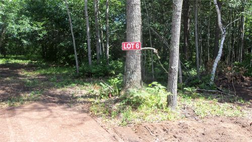 Lot 6 Birch Tree T Trail, Spooner, WI, 54801 | Card Image