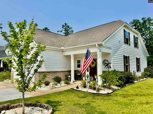 348 Amalfi Dr, Chapin, SC, 29036-7360 | Card Image