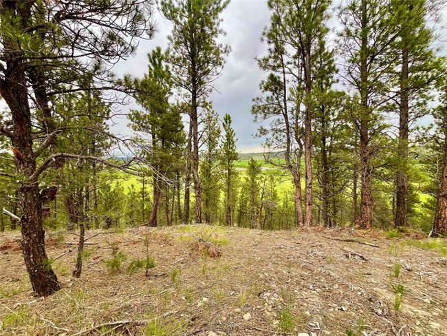 69 Colter Trl, Home with 0 bedrooms, 0 bathrooms and null parking in Columbus MT | Image 17
