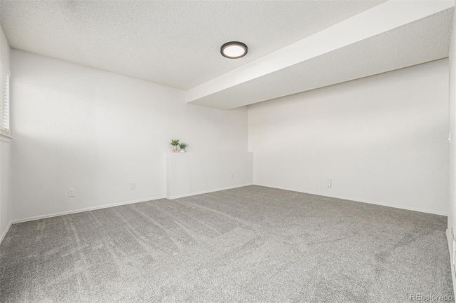 Lower level family room | Image 23