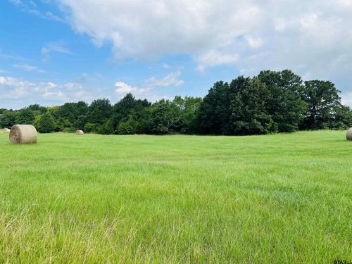 TBD Belles Ln, Brownsboro, TX, 75756 | Card Image