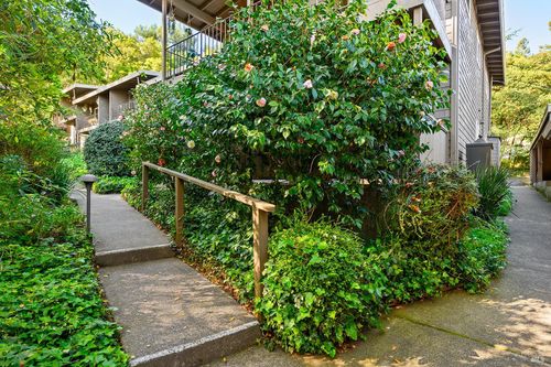 31-1411 Casa Buena Drive, Corte Madera, CA, 94925 | Card Image