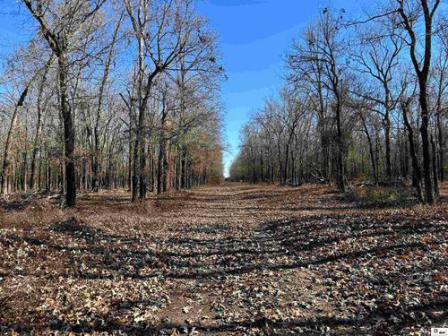 00 Cecil Creek Road, Marion, LA, 71260 | Card Image