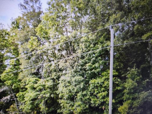 Lot 97 Little Tree Trail, Raymondville, MO, 65555 | Card Image