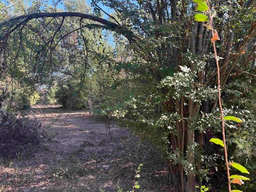 TBD Fm 607 N, Brownsboro, TX, 75756 | Card Image