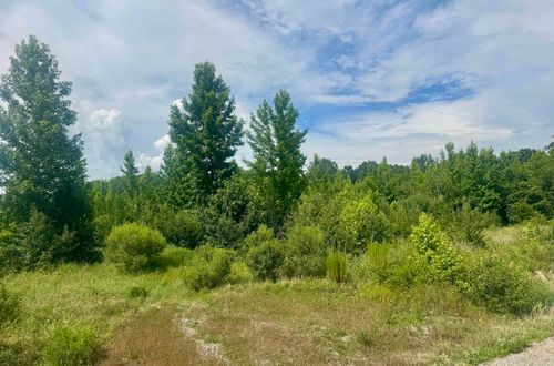 238 Lloyd Henderson Rd, Beebe, AR, 72012-9343 | Card Image