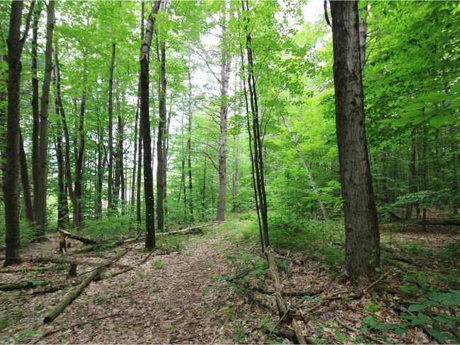 Lot 4 Piney Grove Ln, Home with 0 bedrooms, 0 bathrooms and null parking in Underhill VT | Image 12