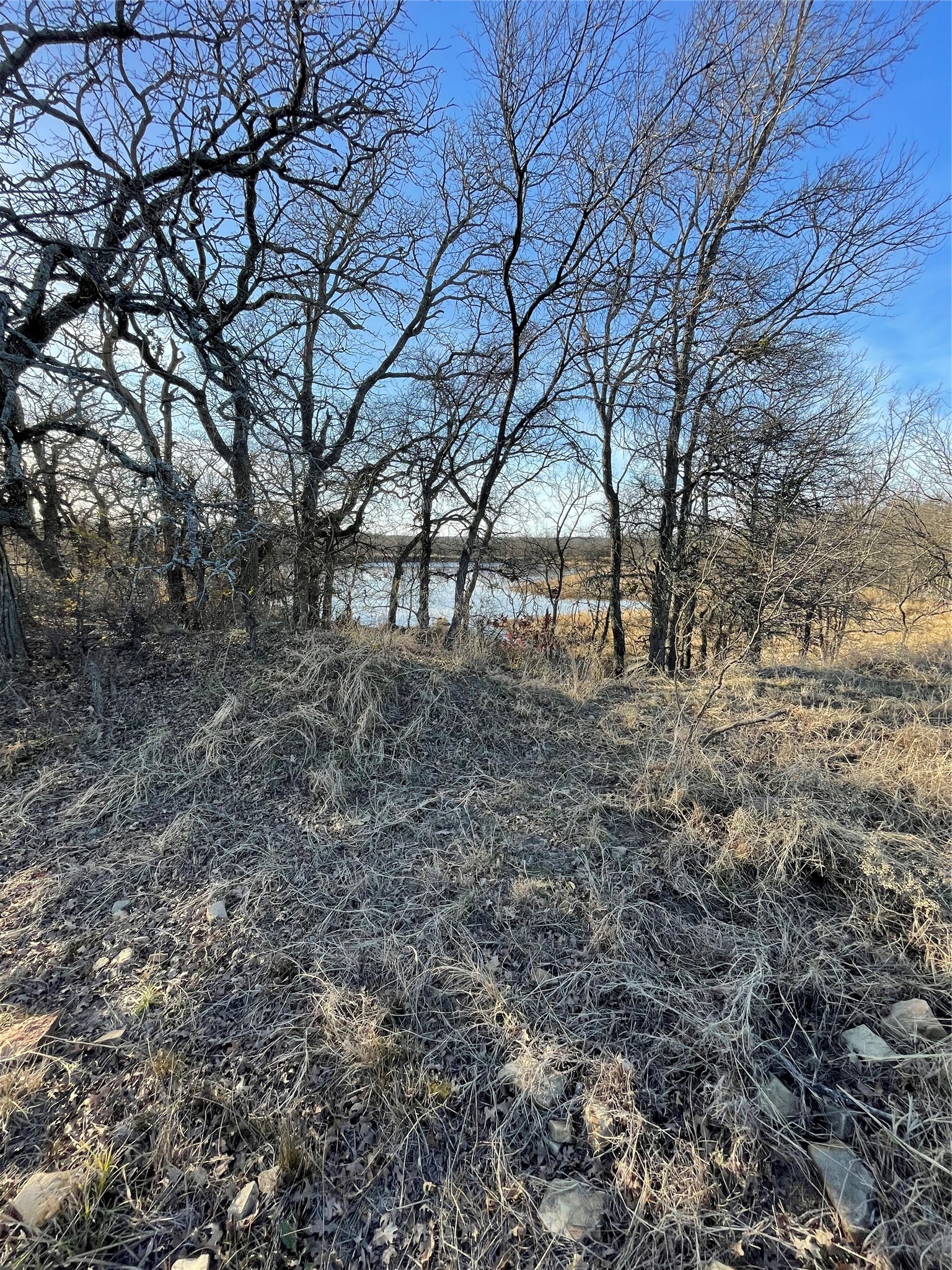 Land in Jacksboro 4