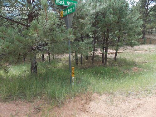 738 Black Mesa Cir, Florissant, CO, 80816-9082 | Card Image
