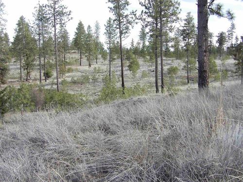 Lot 2 Pine Hen Ln, Davenport, WA, 99122 | Card Image