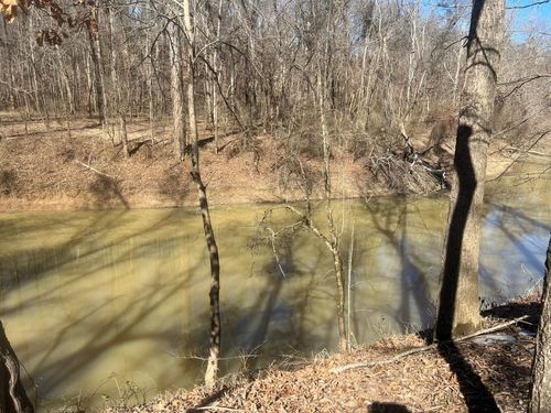 36 Towboat Ln, Adamsville, TN, 38310-3213 | Card Image