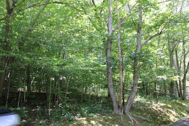 6133 Highway 92, House other with 4 bedrooms, 3 bathrooms and null parking in Ingram KY | Image 32