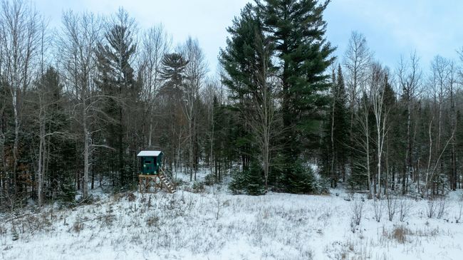 1570 Ryno Rd, House other with 2 bedrooms, 1 bathrooms and null parking in Luzerne MI | Image 24