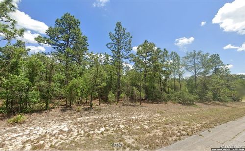 9884 N Lathyrus Ter, DUNNELLON, FL, 34433-4089 | Card Image