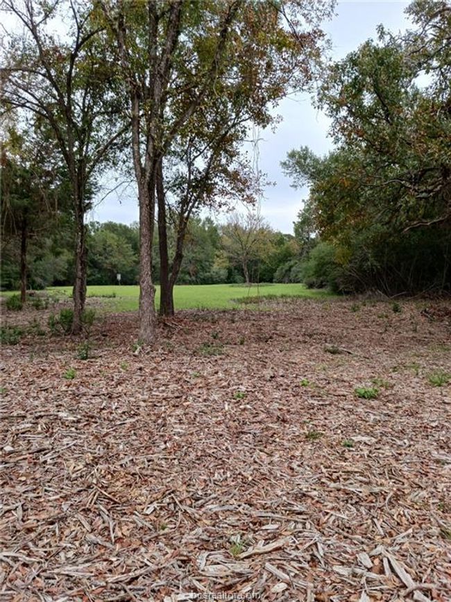View of local wilderness | Image 24