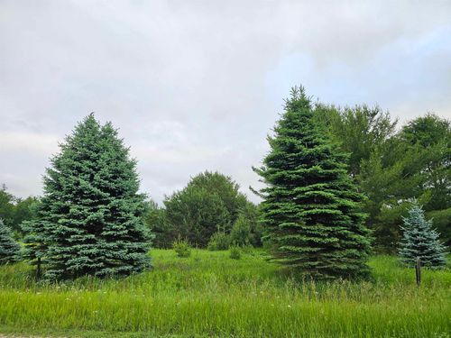 00 N Decker Rd, Lake City, MI, 49651 | Card Image