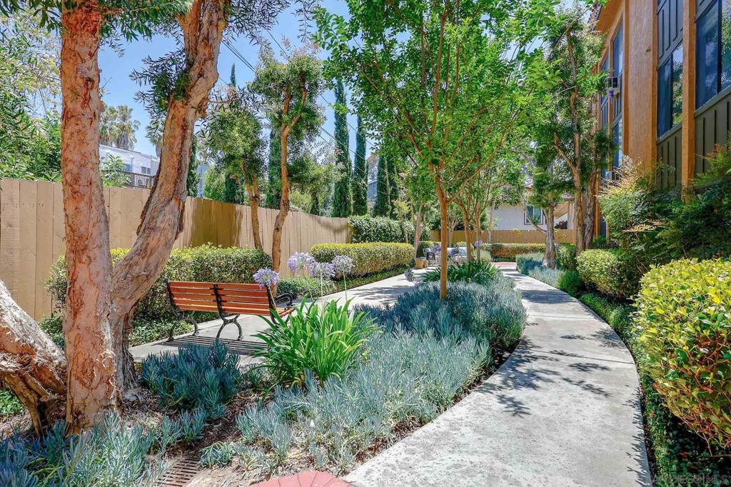 Residential in San Diego 5