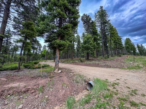 Lot 233 Summit Place, Angel Fire, NM, 87710 | Card Image