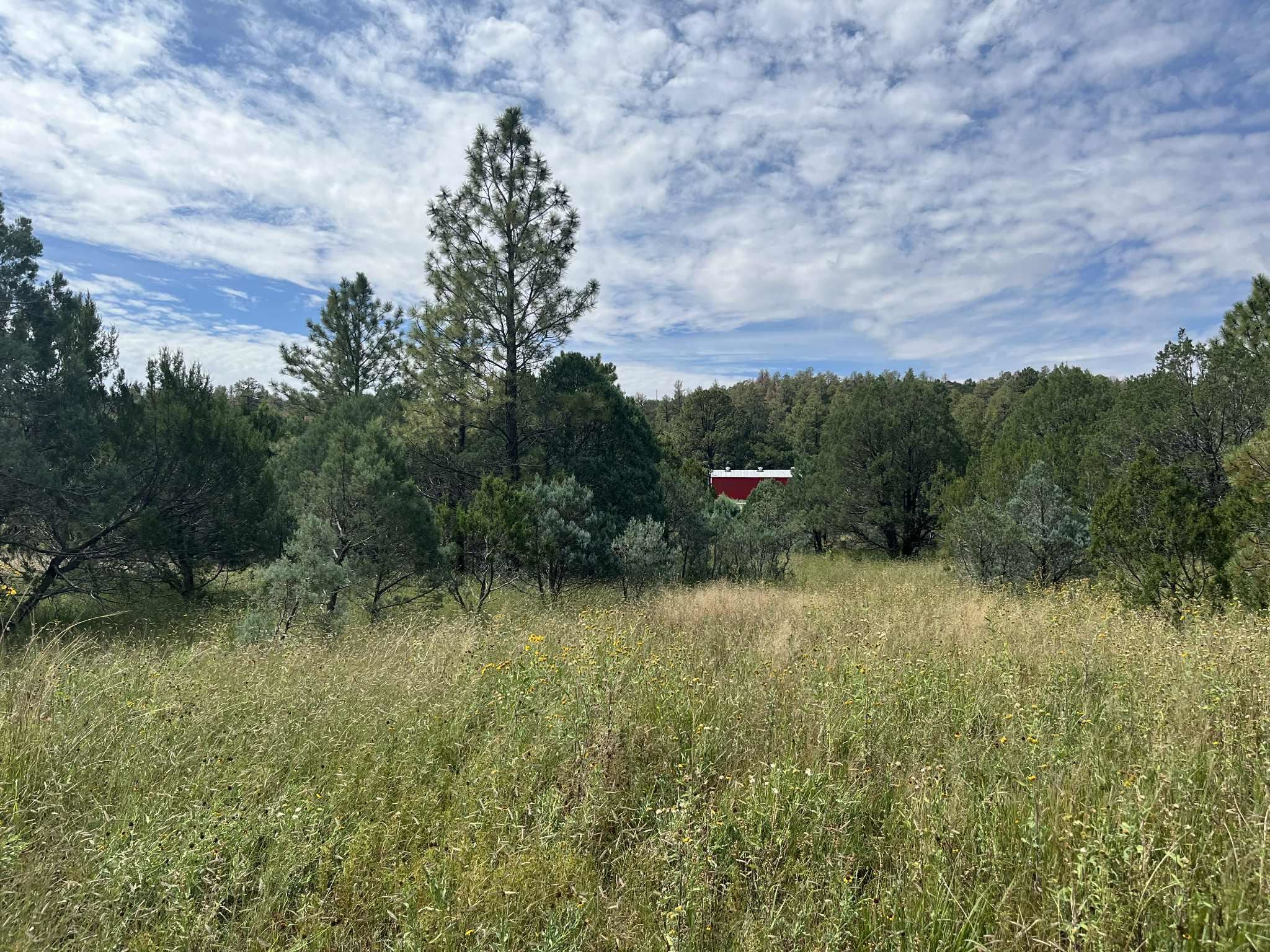 Land in Timberon