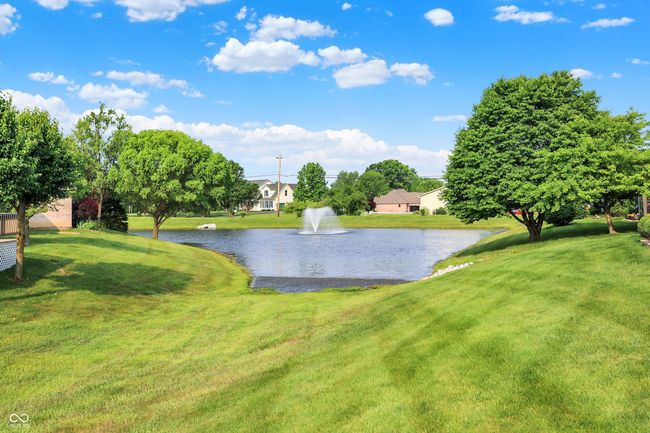 Lovely view of the pond | Image 38