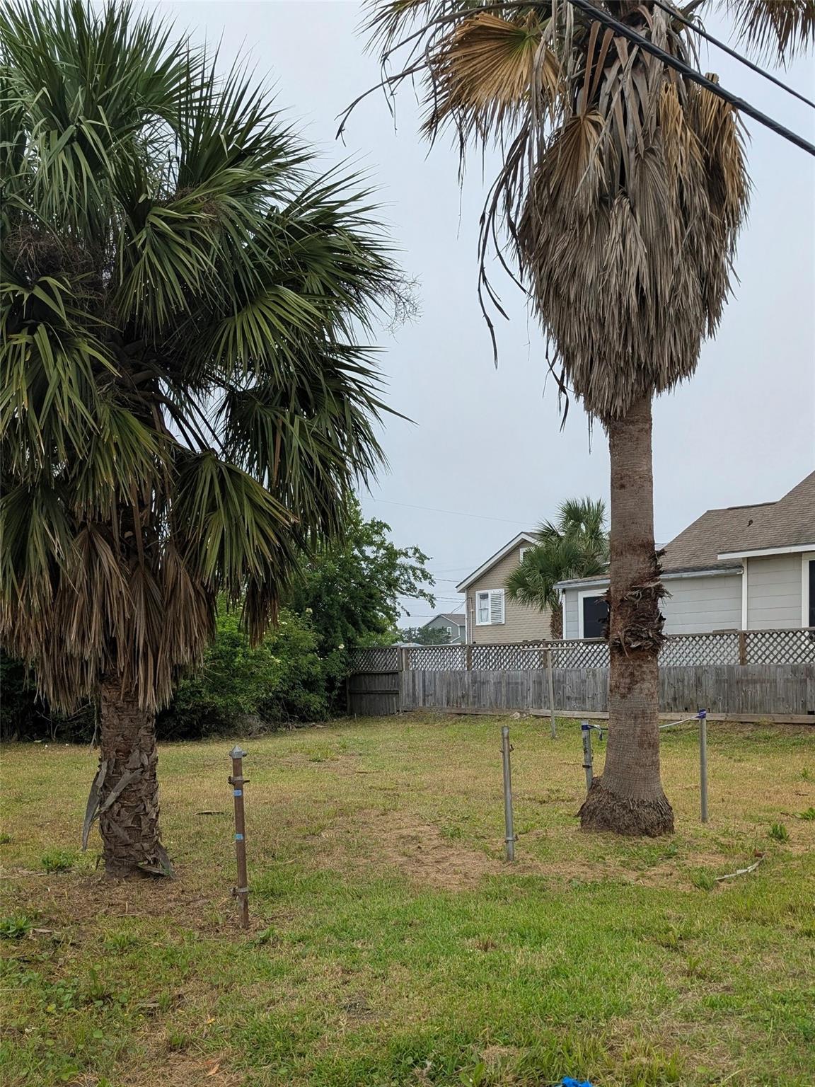Land in Galveston 2