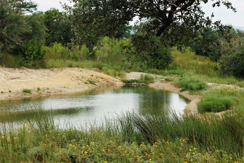 11 Ridgeway, Johnson City, TX, 78636 | Card Image