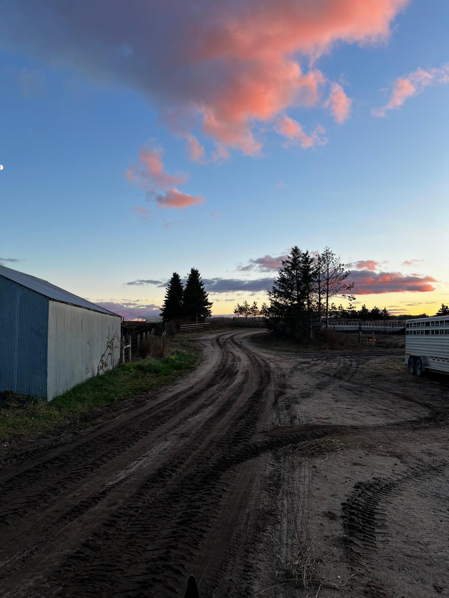 Residential in Park Rapids 4