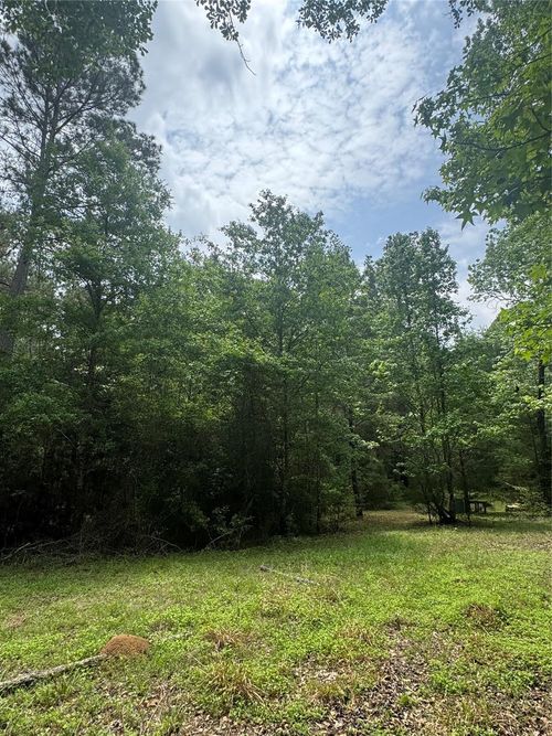 TBD Possum Walk Ln, New Waverly, TX, 77358 | Card Image