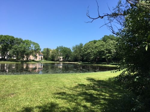 lot 50 Kajer Lane, Lake Forest, IL, 60045 | Card Image