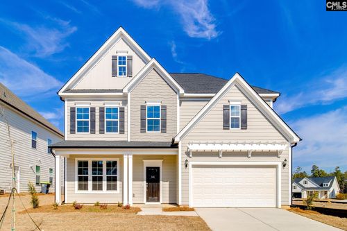 345 Rising Stream Way, Chapin, SC, 29036 | Card Image
