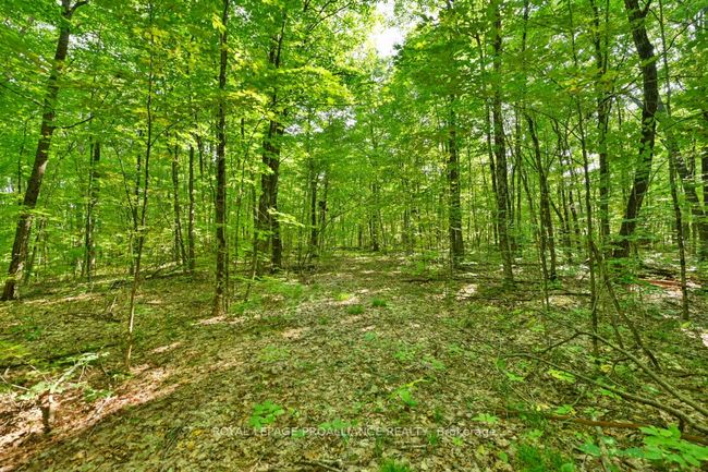 1083 Lindey Lane, Home with 0 bedrooms, 0 bathrooms and null parking in North Frontenac ON | Image 6