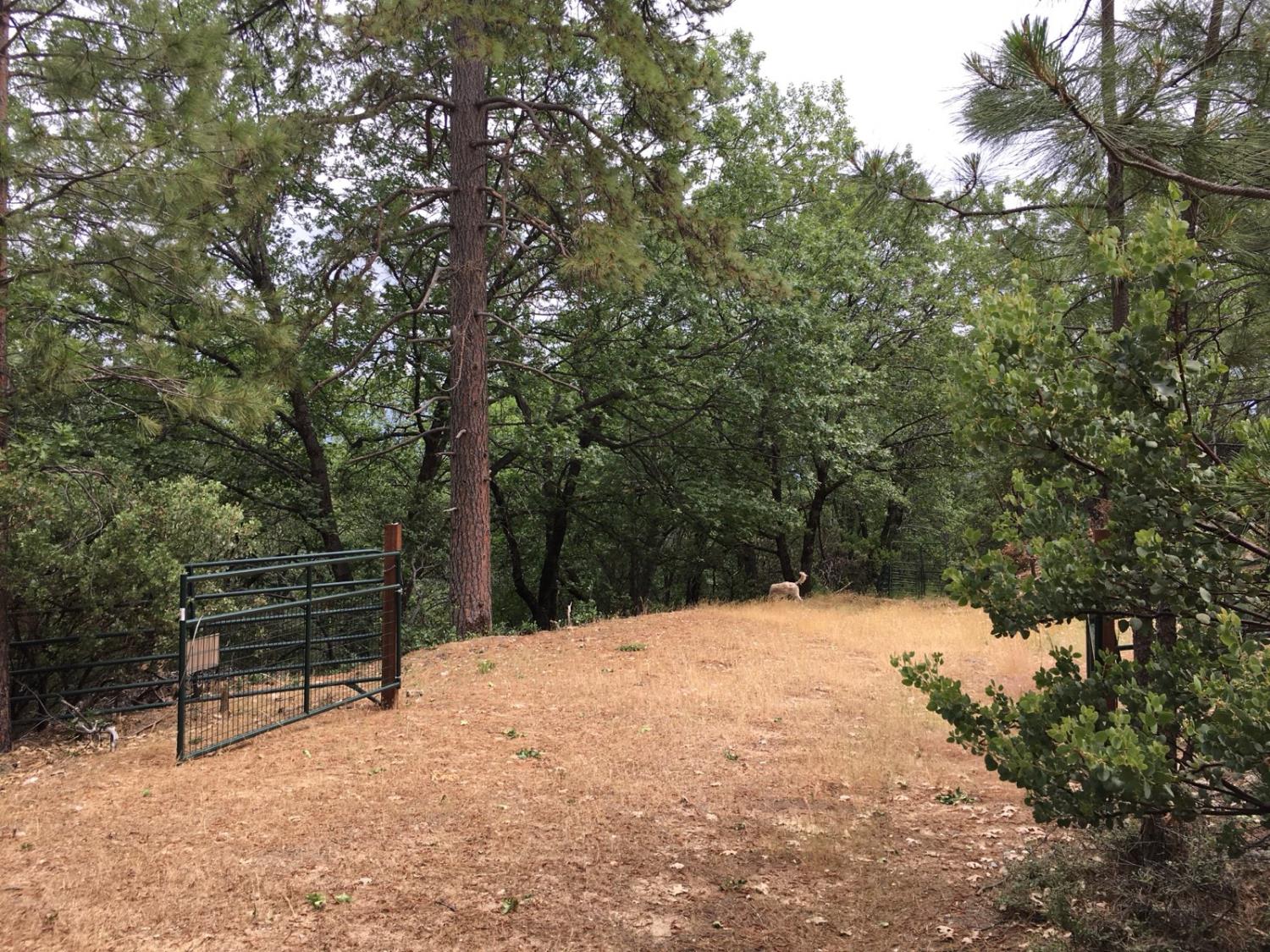 Land in Colfax 4