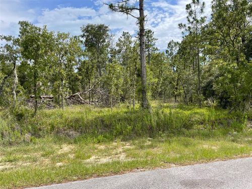 LOT 18 Nw Geranium Ave, Dunnellon, FL, 34431 | Card Image