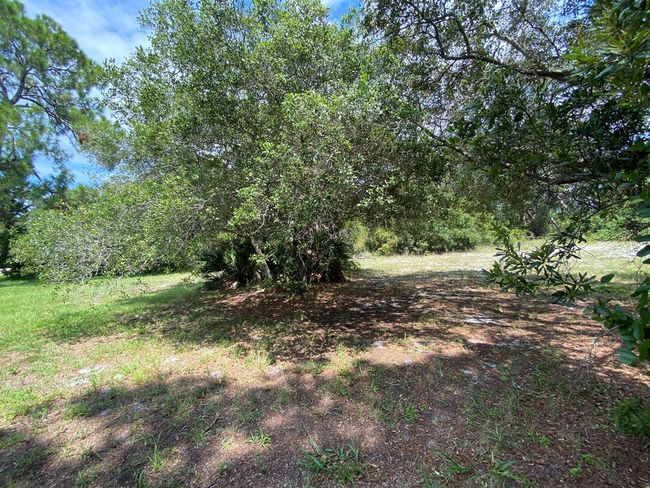 Lot #21 Watson Cir, Home with 0 bedrooms, 0 bathrooms and null parking in CEDAR KEY FL | Image 18