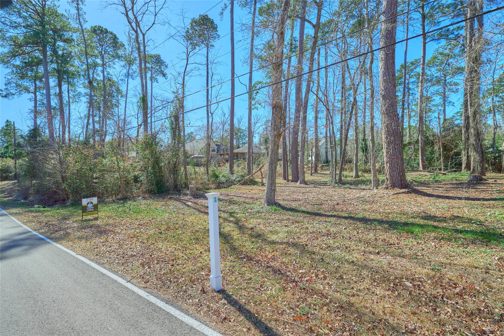 Land in Conroe 5
