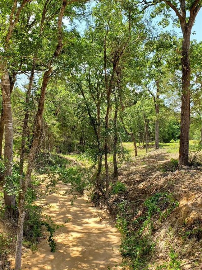 21 Cr 389, Home with 0 bedrooms, 0 bathrooms and null parking in Jewett TX | Image 7