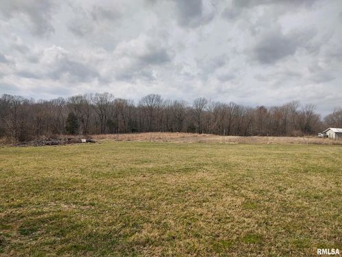 185 Tunnel Valley Ln, Tunnel Hill, IL, 62972 | Card Image