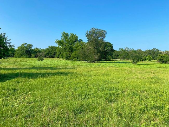 View of local wilderness with rural landscape | Image 30