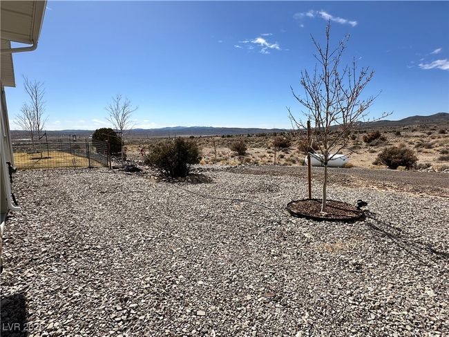 Trees throughout the Property | Image 61